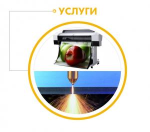 Фотография МориАрт 3