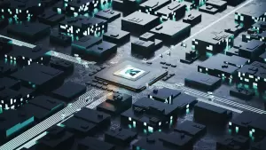 Фотография Animi studio 4