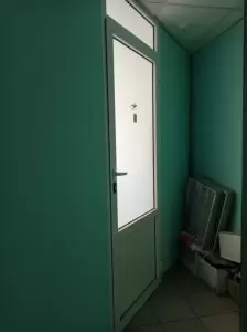 Фотография Iguana 1